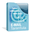 Email Tarantula Email Tarantula