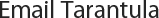 Email Tarantula